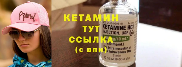 трава Новозыбков