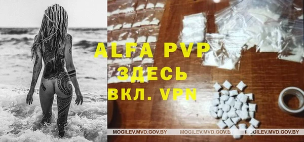 трава Новодвинск