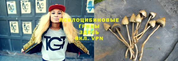 трава Новозыбков