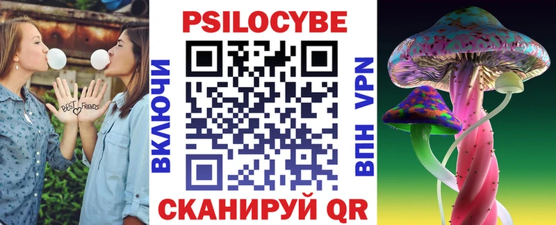darknet Telegram  Правдинск  Псилоцибиновые грибы Cubensis 